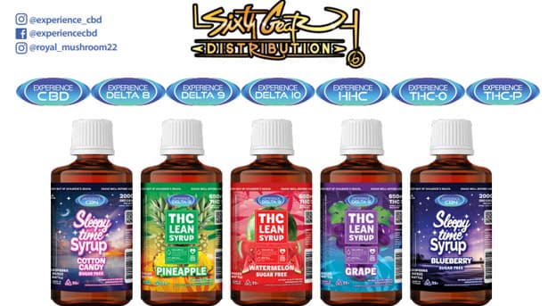 Sixth Gear Distribution wholesale supplier logo