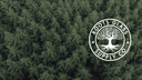 Roots Glass Wholesale wholesale supplier logo